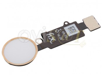 Cable flex con botón Home blanco con borde dorado para iPhone 7 / 7 Plus / iPhone 8 / 8 Plus / SE 2020 2nd gen / SE 2022 3rd gen, versión YF