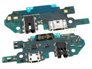 placa-auxiliar-service-pack-con-micr-fono-conector-de-carga-datos-y-accesorios-micro-usb-para-samsung-galaxy-a10-sm-a105-versi-n-sub-0-1