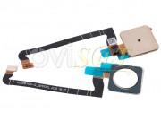 cable-flex-con-bot-n-lector-sensor-de-huellas-blanco-para-htc-google-pixel-3